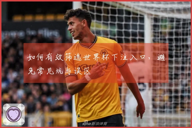如何有效筛选世界杯下注入口，避免常见坑与误区