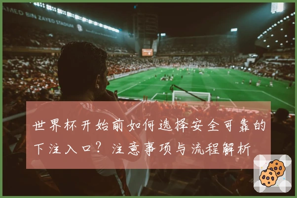 世界杯开始前如何选择安全可靠的下注入口？注意事项与流程解析