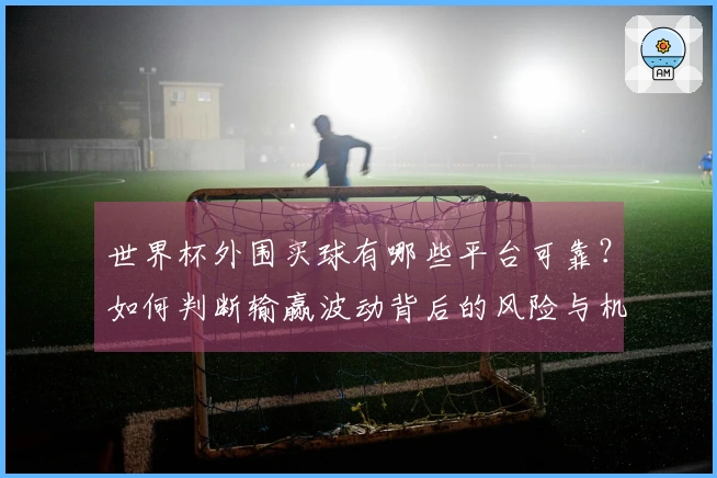 世界杯外围买球有哪些平台可靠？如何判断输赢波动背后的风险与机会