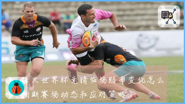 烽火世界杯竞猜临场赔率变化怎么判断赛场动态和应对策略