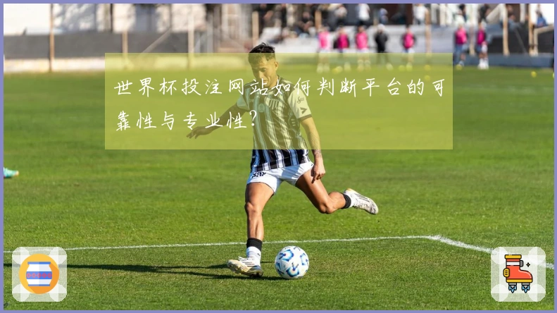 世界杯投注网站如何判断平台的可靠性与专业性？