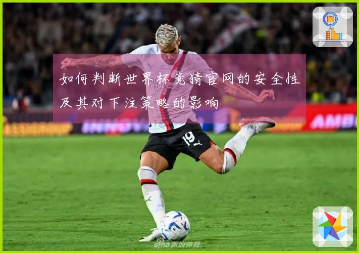 如何判断世界杯竞猜官网的安全性及其对下注策略的影响