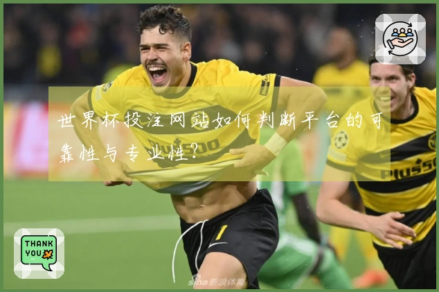 世界杯投注网站如何判断平台的可靠性与专业性？