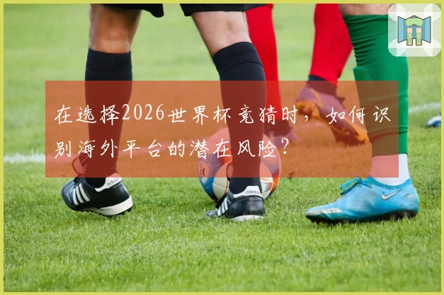 在选择2026世界杯竞猜时，如何识别海外平台的潜在风险？