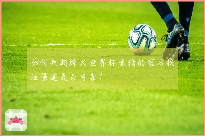 如何判断烽火世界杯竞猜的官方投注渠道是否可靠？