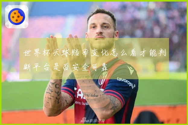 世界杯买球赔率变化怎么看才能判断平台是否安全可靠