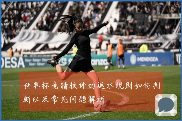 世界杯竞猜软件的返水规则如何判断以及常见问题解析