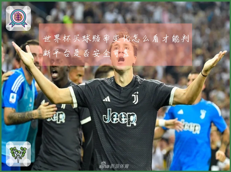 世界杯买球赔率变化怎么看才能判断平台是否安全可靠