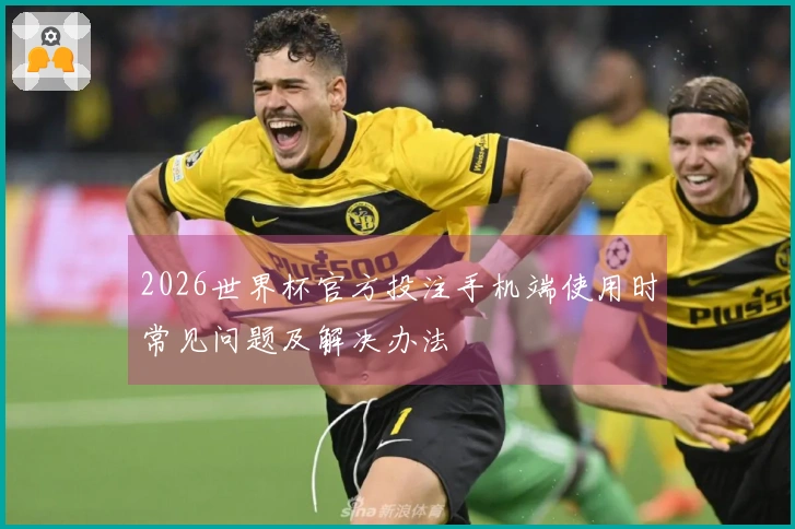 2026世界杯官方投注手机端使用时常见问题及解决办法
