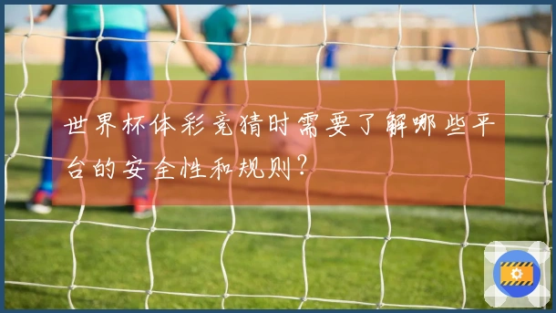 世界杯体彩竞猜时需要了解哪些平台的安全性和规则？