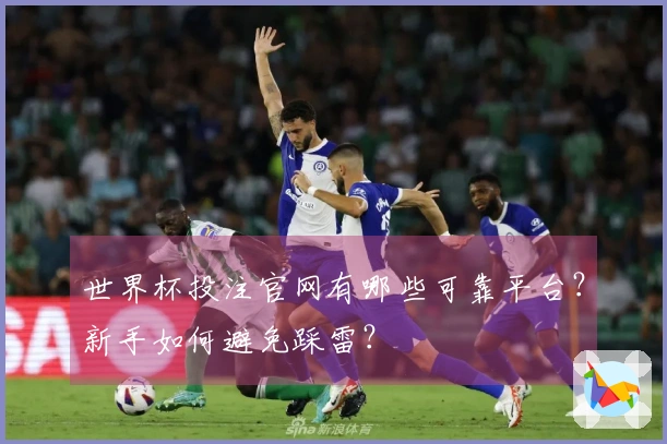世界杯投注官网有哪些可靠平台？新手如何避免踩雷？