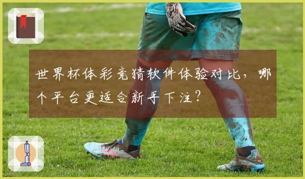 世界杯体彩竞猜软件体验对比，哪个平台更适合新手下注？