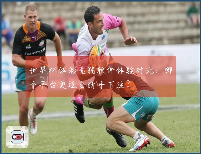世界杯体彩竞猜软件体验对比，哪个平台更适合新手下注？