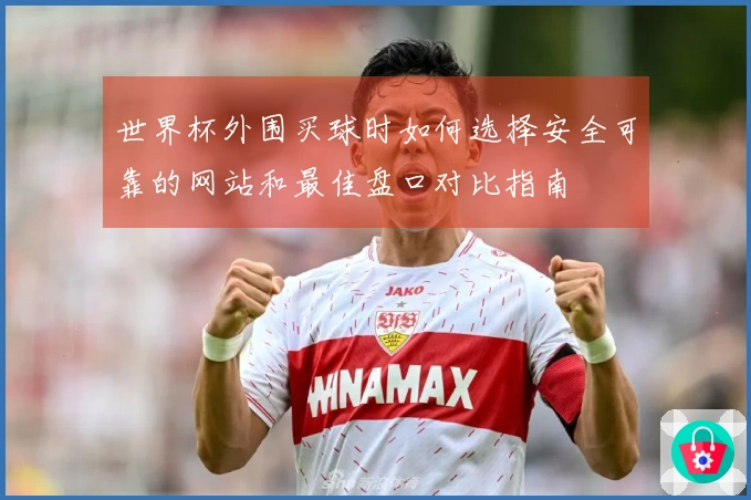 世界杯外围买球时如何选择安全可靠的网站和最佳盘口对比指南