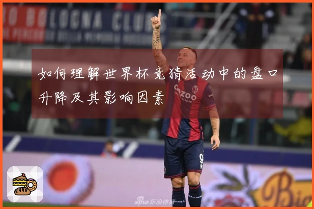 如何理解世界杯竞猜活动中的盘口升降及其影响因素