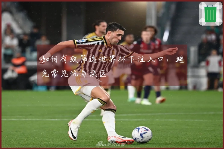 如何有效筛选世界杯下注入口，避免常见坑与误区