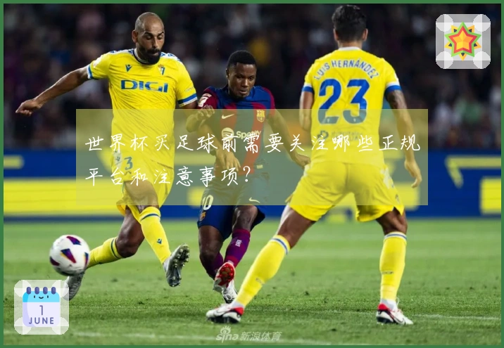 世界杯买足球前需要关注哪些正规平台和注意事项？