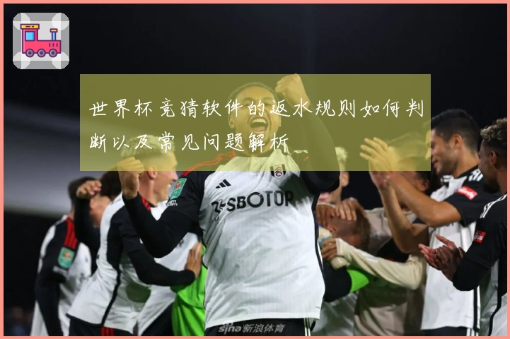 世界杯竞猜软件的返水规则如何判断以及常见问题解析