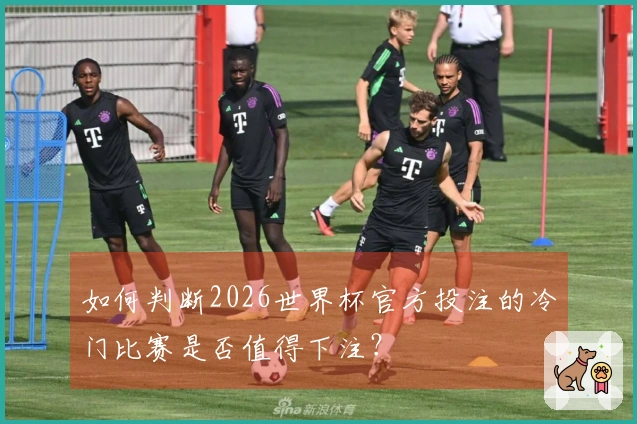 如何判断2026世界杯官方投注的冷门比赛是否值得下注？